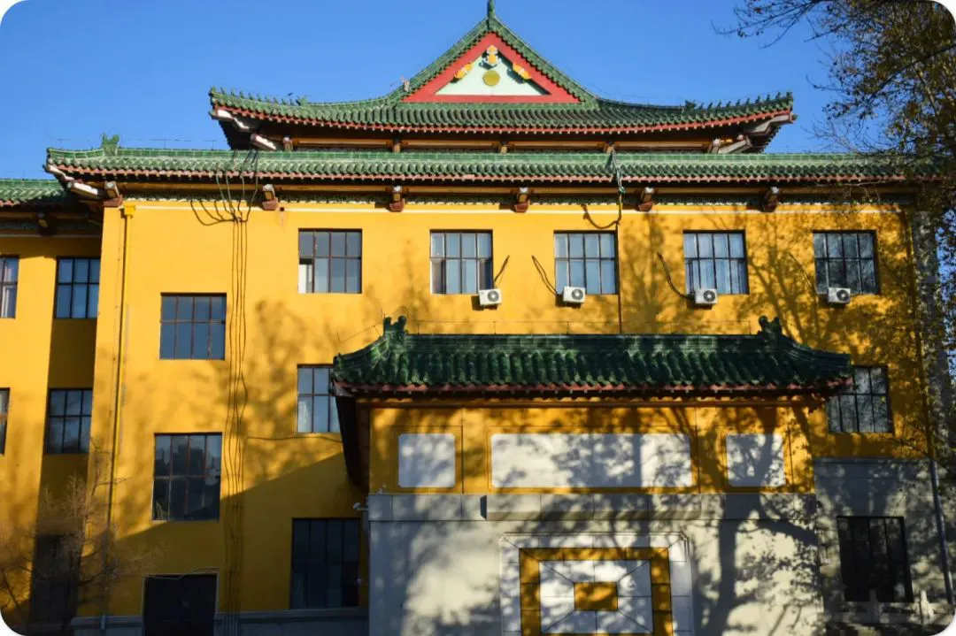 为什么篮球训练中需要多样化的策略_2